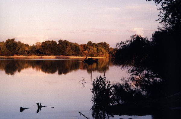 Étendue d’eau bordée de végétation au crépuscule.