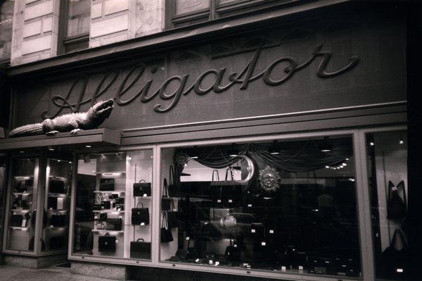 Devanture du maroquinier : « Alligator » avec la reproduction d’un alligator au-dessus de l’entrée. Noir et blanc.