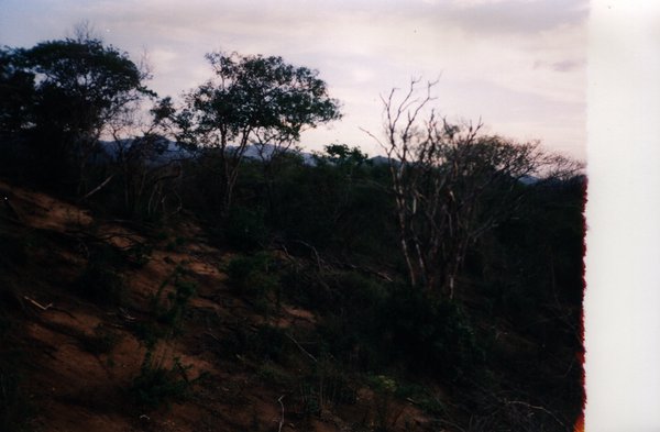 Flanc de colline avec végétations.