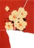 Fleurs blanches sur fond rouge. Image déchirée.