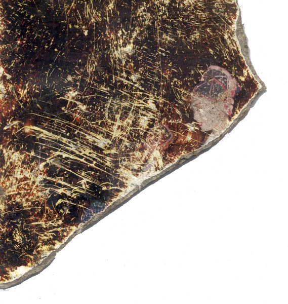 Visage de femme. Fragment.