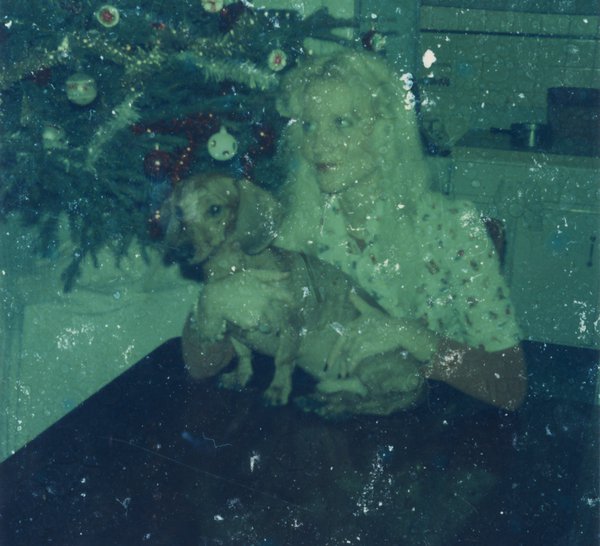 Femme blonde assise à une table avec un chien dans les bras devant un sapin de Noël.