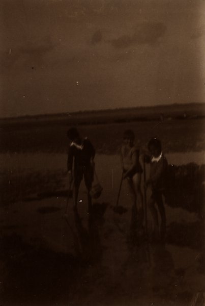 Trois personnes ramassant des coquillages sur l'estran. Noir et blanc.ᴬᴵ