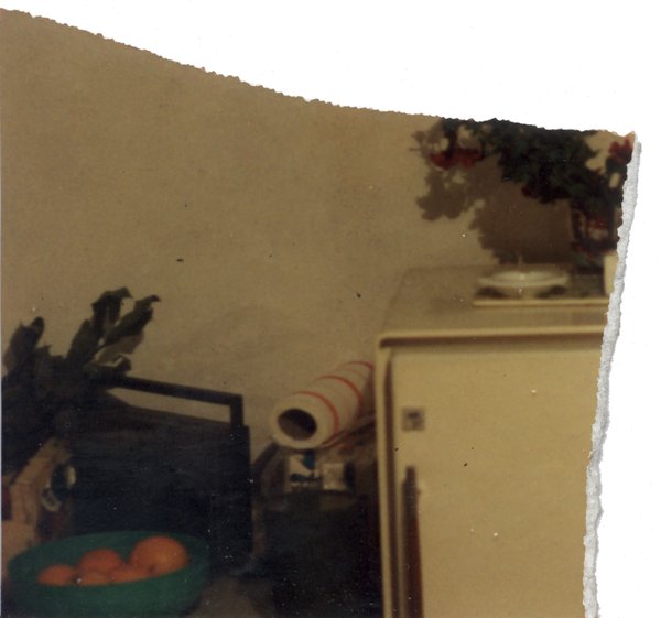 Frigo, transistor, et corbeille avec mandarines. Fragment.