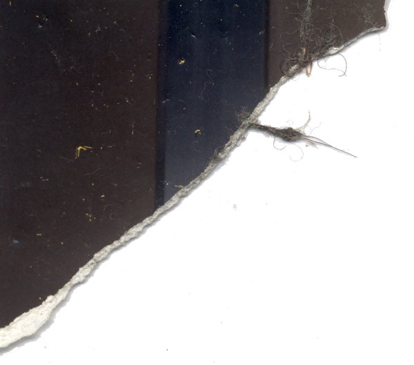 Vue non identifiée. Fragment.