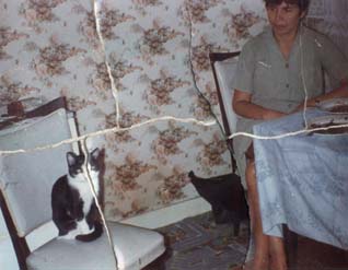 Femme attablée près d’une chaise avec un chat noir et blanc assis.