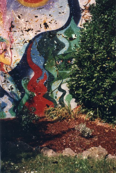 Dessins colorés et sol avec végétations. Image abîmée.