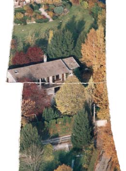 Toit de maison et arbres roussis.