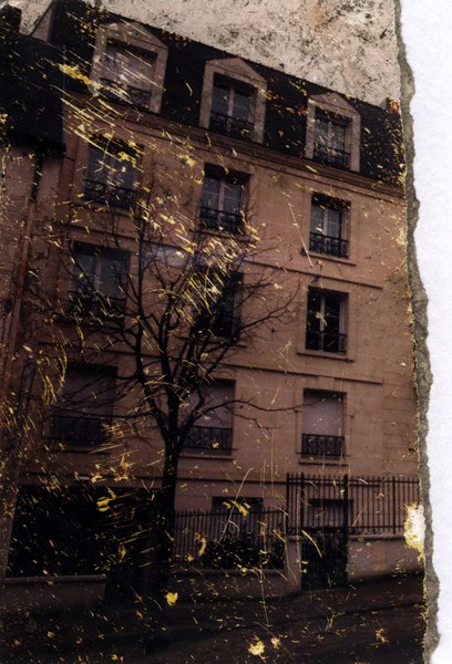 Façade d’immeuble et arbres. Image déchirée.