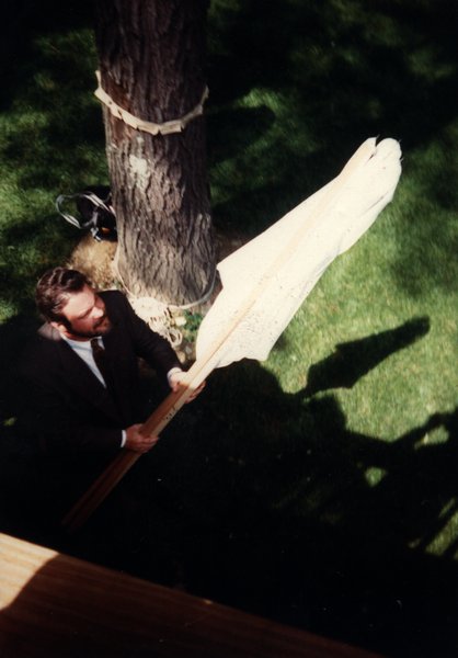 Homme au pied d’un arbre avec un étendard blanc dans les mains.