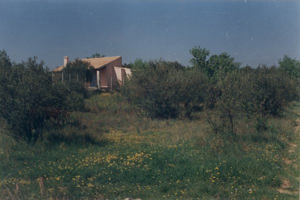 Jardin boisé et maison.