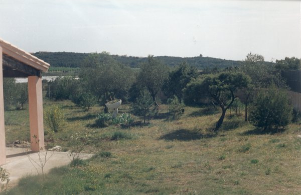 Jardin boisé et maison.