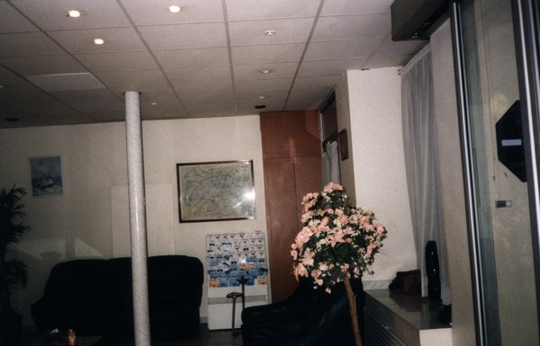 Salon d’hôtel avec colonne et pot de fleurs.