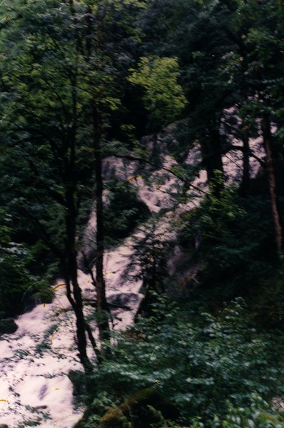 Lit de ruisseau asséché au milieu de la forêt.ᴬᴵ