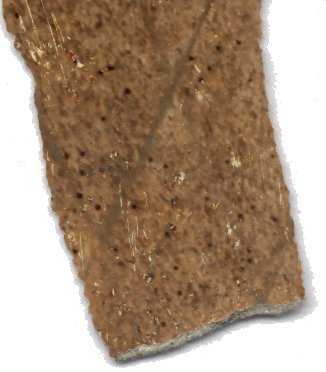 Fragment.