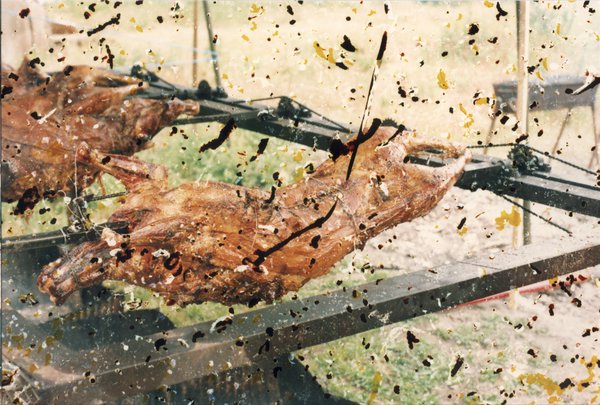 Viande à la broche en extérieur. Image abîmée.