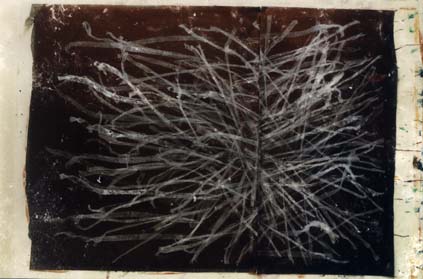 Arbre ?