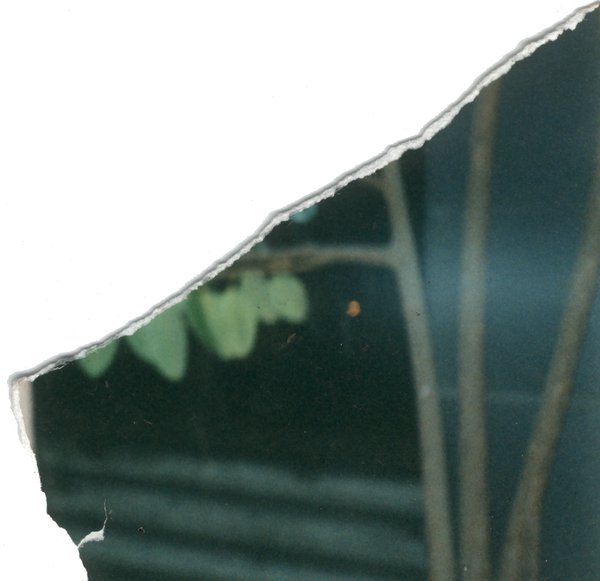 Vue non identifiée. Fragment.