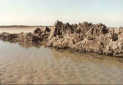 Rocher et mer à marée basse