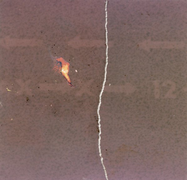 Flamme. Image déchirée et reconstituée.