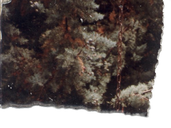 Vue non identifiée. Fragment.